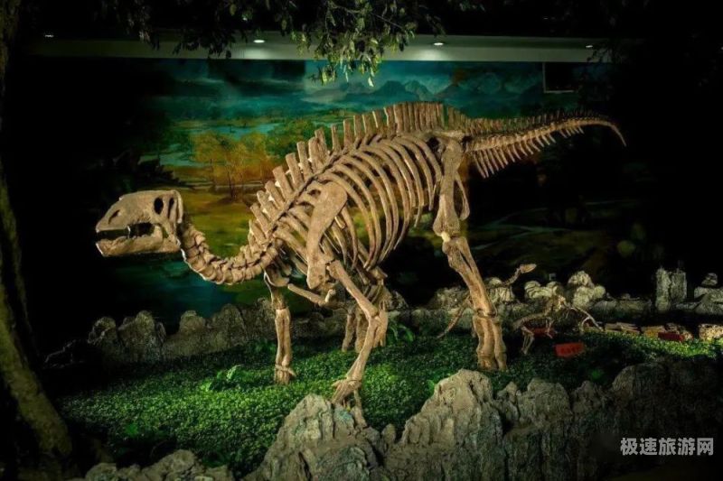 甘肃恐龙化石博物馆（甘肃恐龙化石博物馆七里河）
